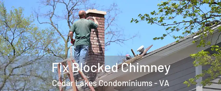 Fix Blocked Chimney Cedar Lakes Condominiums - VA