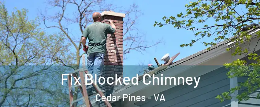 Fix Blocked Chimney Cedar Pines - VA