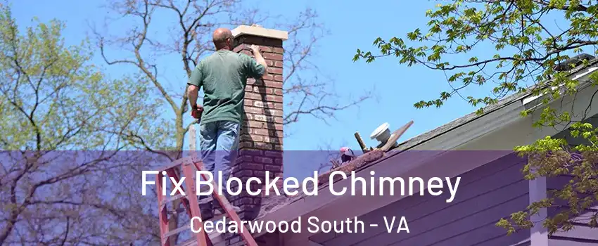 Fix Blocked Chimney Cedarwood South - VA