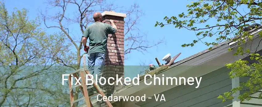 Fix Blocked Chimney Cedarwood - VA