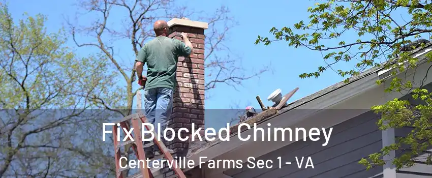 Fix Blocked Chimney Centerville Farms Sec 1 - VA