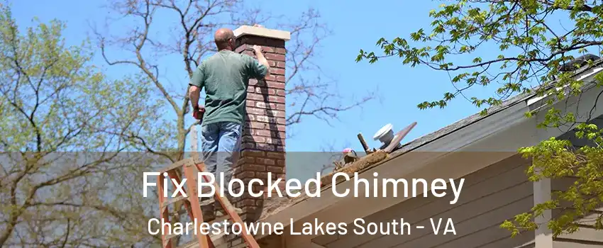 Fix Blocked Chimney Charlestowne Lakes South - VA