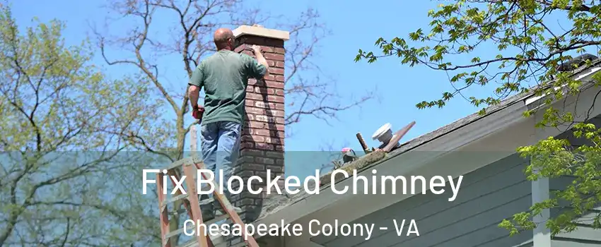 Fix Blocked Chimney Chesapeake Colony - VA