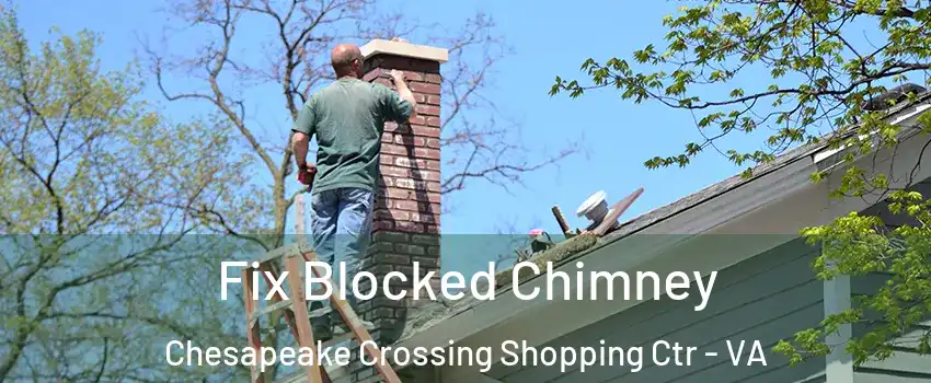 Fix Blocked Chimney Chesapeake Crossing Shopping Ctr - VA