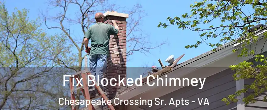 Fix Blocked Chimney Chesapeake Crossing Sr. Apts - VA