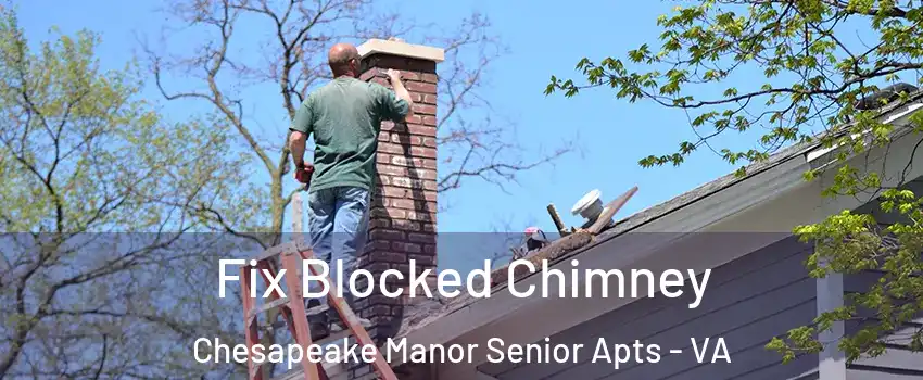 Fix Blocked Chimney Chesapeake Manor Senior Apts - VA