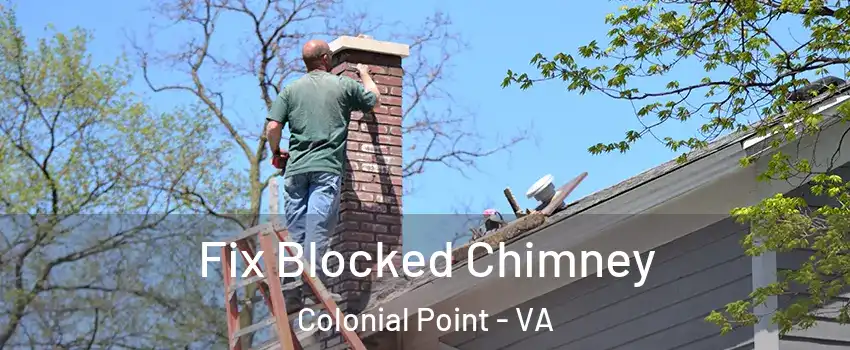 Fix Blocked Chimney Colonial Point - VA