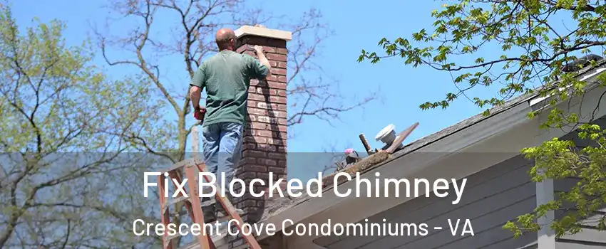 Fix Blocked Chimney Crescent Cove Condominiums - VA