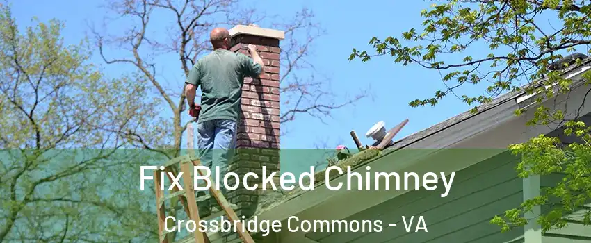 Fix Blocked Chimney Crossbridge Commons - VA