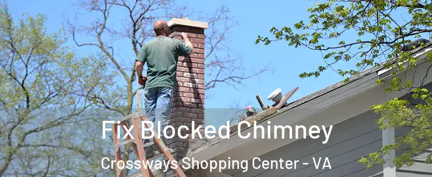 Fix Blocked Chimney Crossways Shopping Center - VA