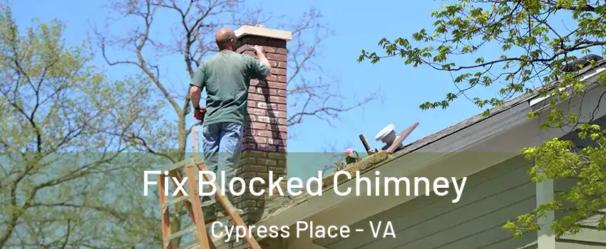 Fix Blocked Chimney Cypress Place - VA