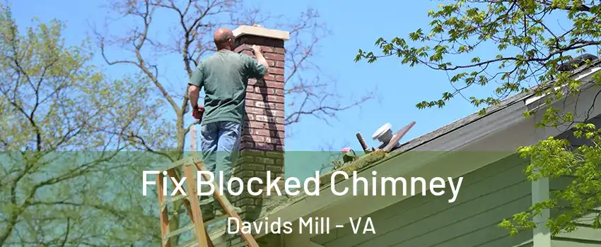 Fix Blocked Chimney Davids Mill - VA