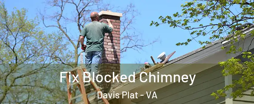 Fix Blocked Chimney Davis Plat - VA