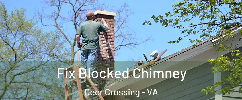 Fix Blocked Chimney Deer Crossing - VA