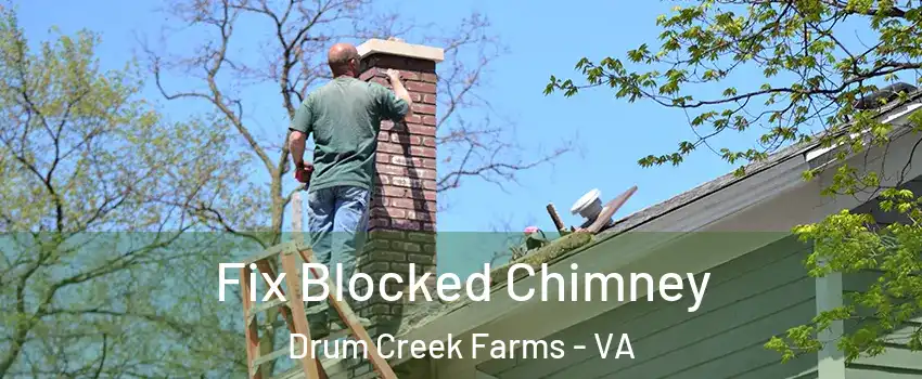 Fix Blocked Chimney Drum Creek Farms - VA