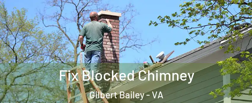 Fix Blocked Chimney Gilbert Bailey - VA