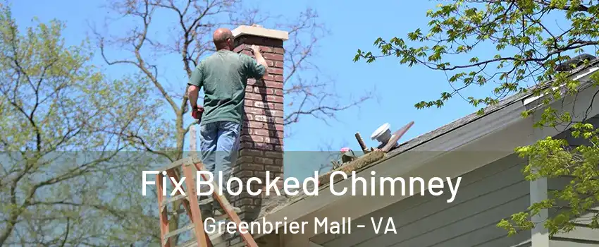 Fix Blocked Chimney Greenbrier Mall - VA