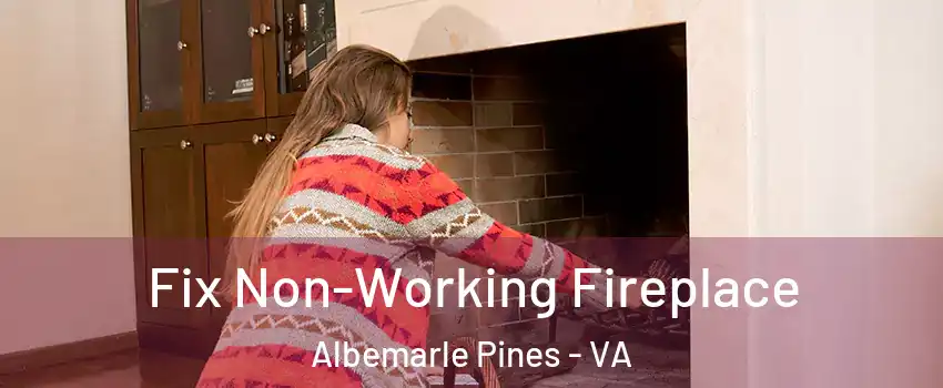 Fix Non-Working Fireplace Albemarle Pines - VA