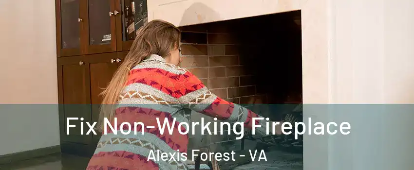 Fix Non-Working Fireplace Alexis Forest - VA