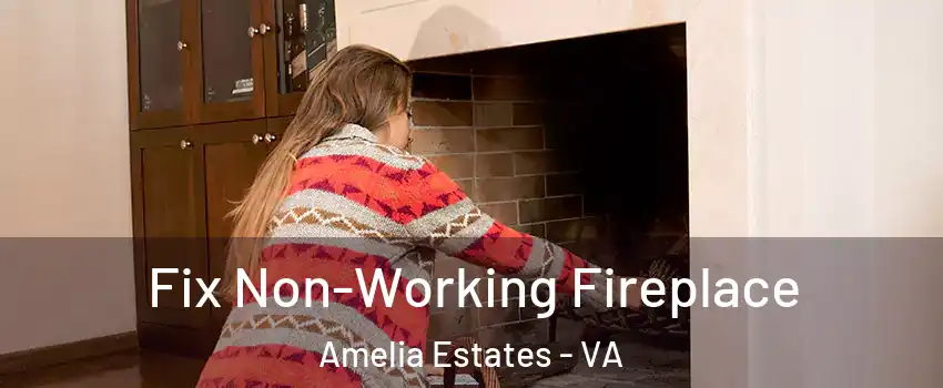 Fix Non-Working Fireplace Amelia Estates - VA