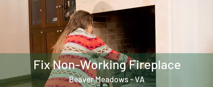 Fix Non-Working Fireplace Beaver Meadows - VA