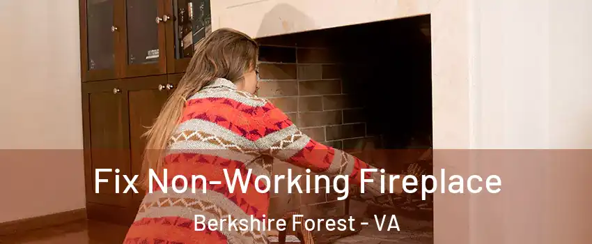Fix Non-Working Fireplace Berkshire Forest - VA