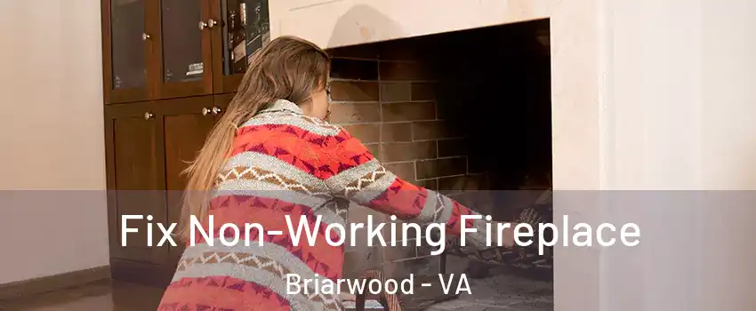 Fix Non-Working Fireplace Briarwood - VA