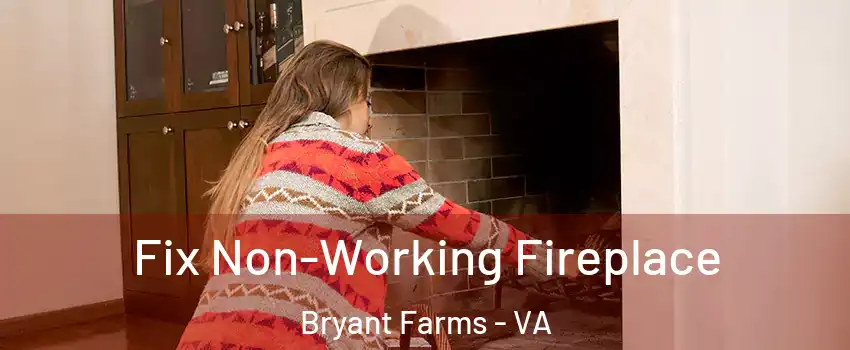 Fix Non-Working Fireplace Bryant Farms - VA