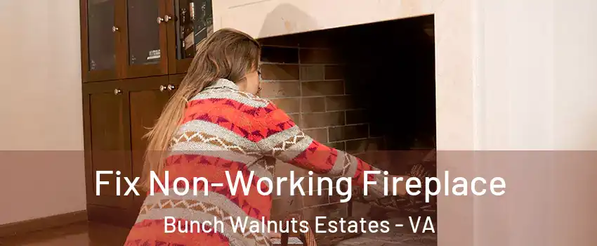 Fix Non-Working Fireplace Bunch Walnuts Estates - VA