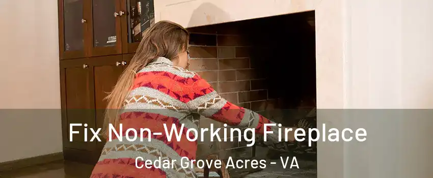 Fix Non-Working Fireplace Cedar Grove Acres - VA