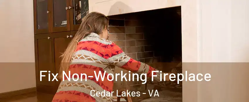 Fix Non-Working Fireplace Cedar Lakes - VA