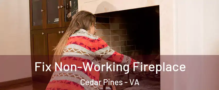 Fix Non-Working Fireplace Cedar Pines - VA