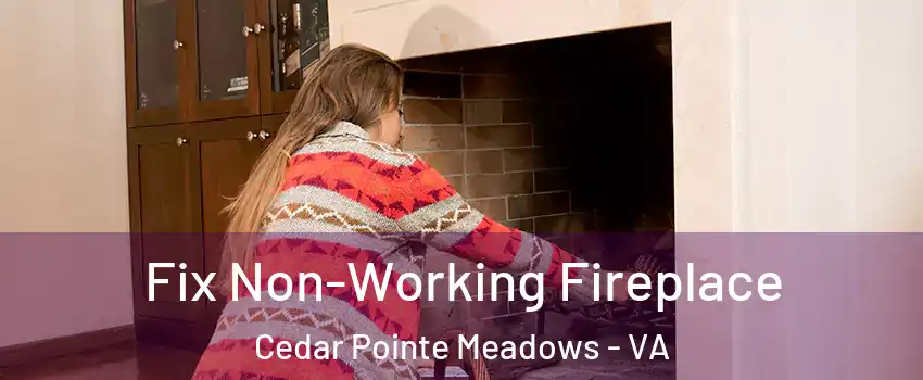 Fix Non-Working Fireplace Cedar Pointe Meadows - VA