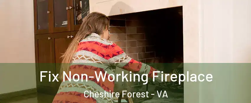 Fix Non-Working Fireplace Cheshire Forest - VA