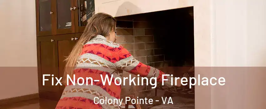 Fix Non-Working Fireplace Colony Pointe - VA