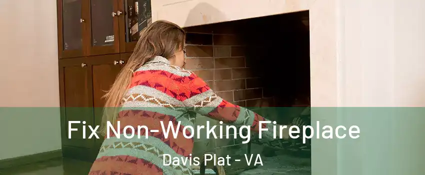 Fix Non-Working Fireplace Davis Plat - VA