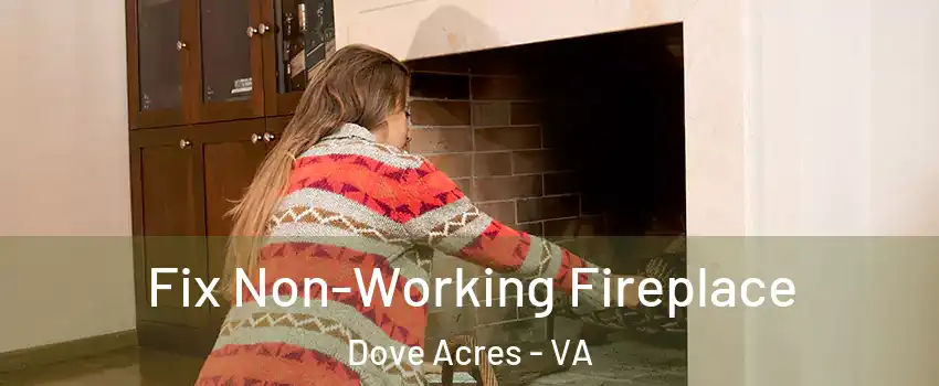 Fix Non-Working Fireplace Dove Acres - VA