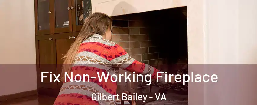 Fix Non-Working Fireplace Gilbert Bailey - VA