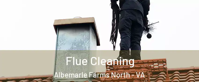 Flue Cleaning Albemarle Farms North - VA