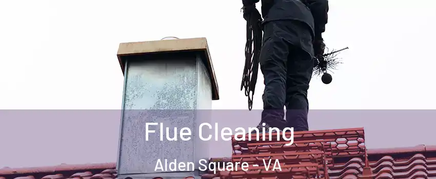 Flue Cleaning Alden Square - VA