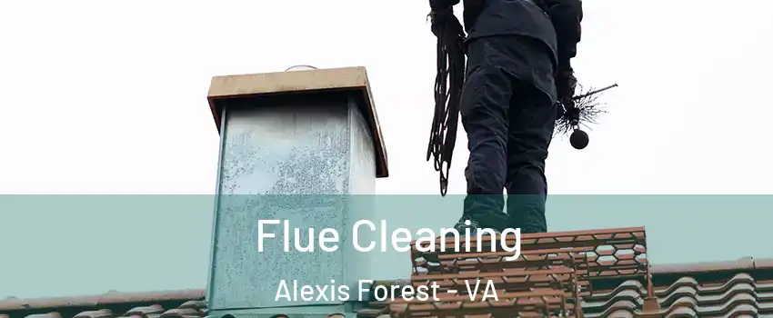 Flue Cleaning Alexis Forest - VA