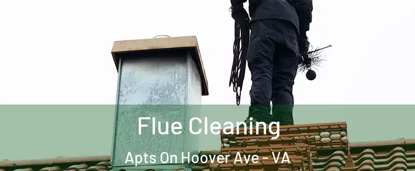 Flue Cleaning Apts On Hoover Ave - VA