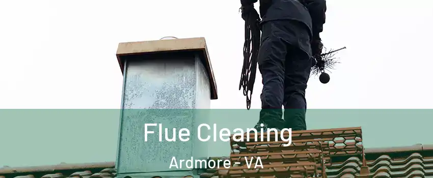 Flue Cleaning Ardmore - VA