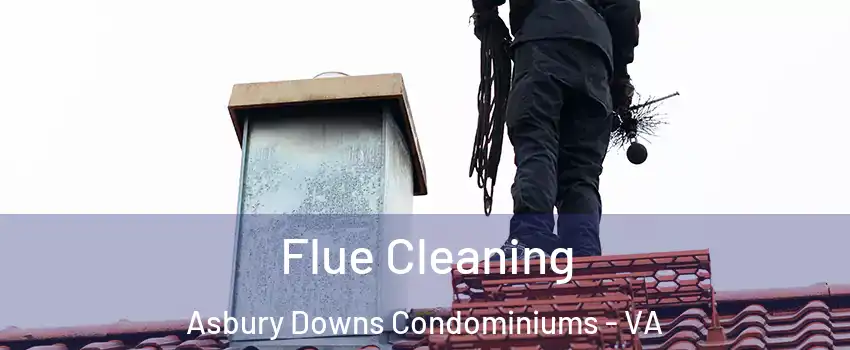 Flue Cleaning Asbury Downs Condominiums - VA