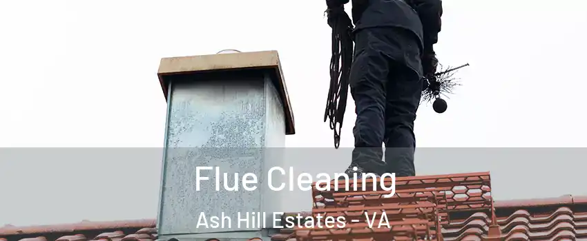 Flue Cleaning Ash Hill Estates - VA