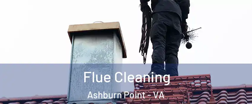 Flue Cleaning Ashburn Point - VA