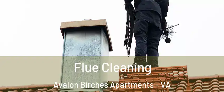 Flue Cleaning Avalon Birches Apartments - VA