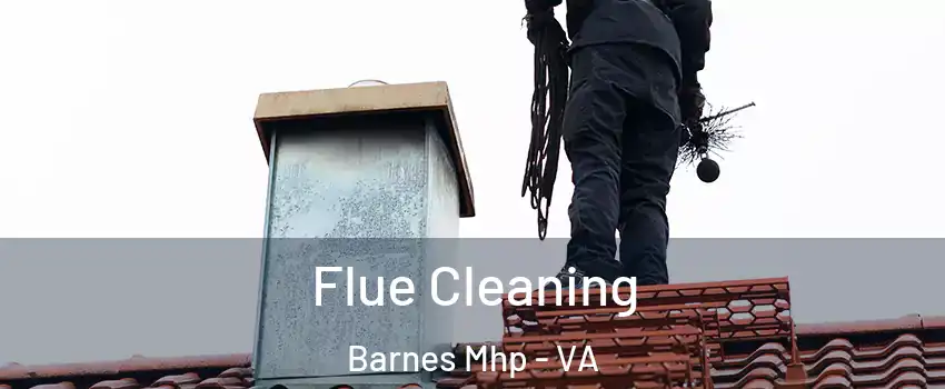 Flue Cleaning Barnes Mhp - VA