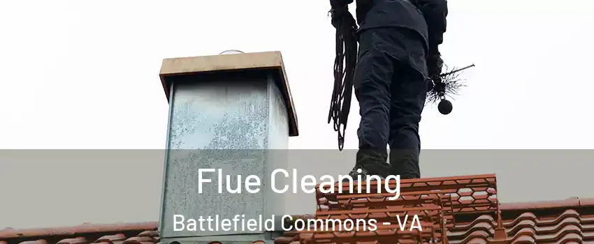 Flue Cleaning Battlefield Commons - VA