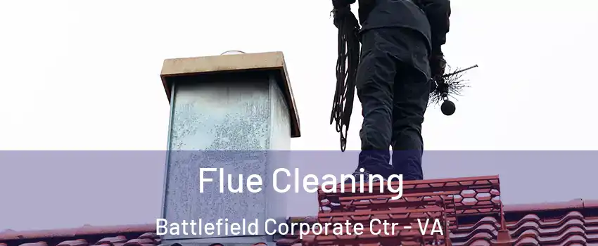 Flue Cleaning Battlefield Corporate Ctr - VA